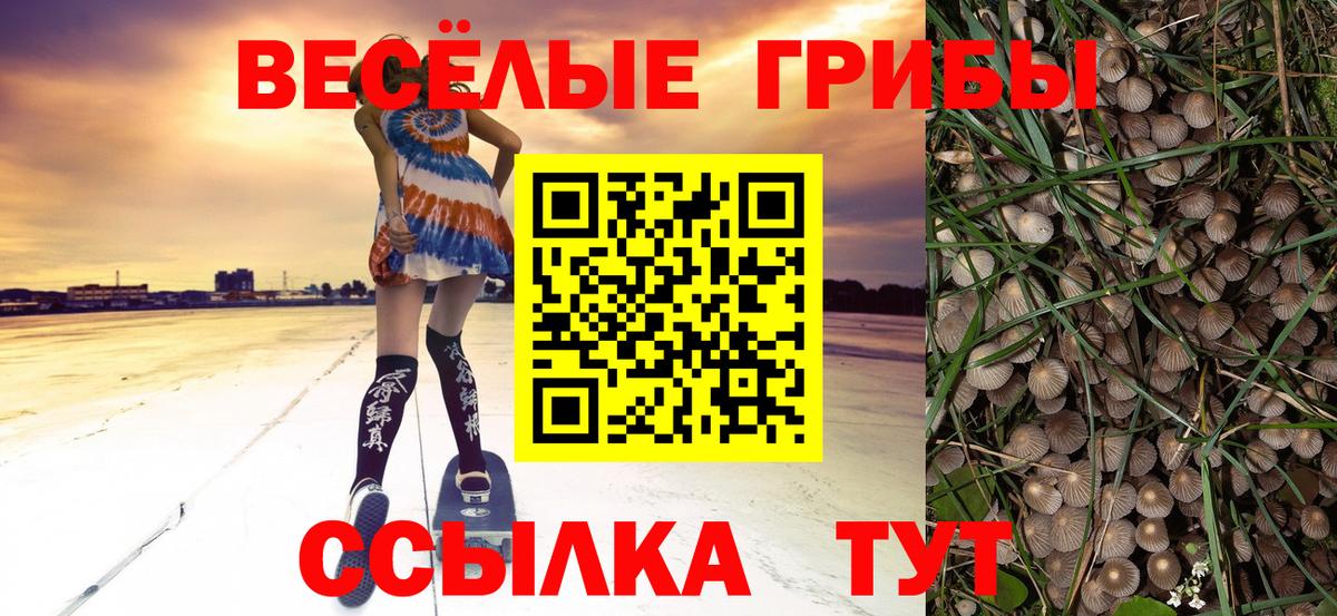 наркошоп  Галлюциногенные грибы Magic Shrooms  Вход с VPN  Лениногорск 