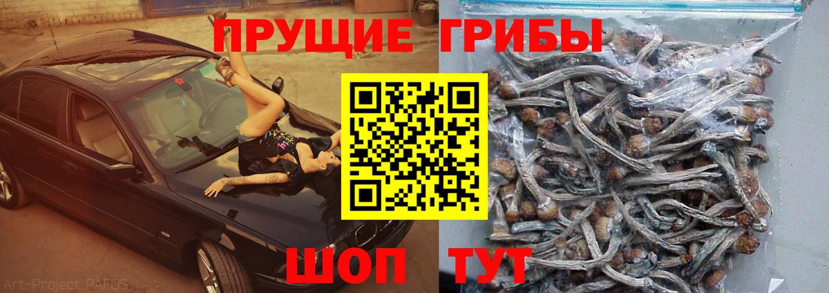 Галлюциногенные грибы MAGIC MUSHROOMS Лениногорск